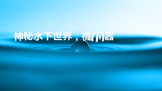 神秘水下世界，機(jī)器人揭開深海寶藏！
